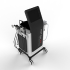 Pro machine électrique intelligente de physiothérapie de Tecar avec Tecar 300w
